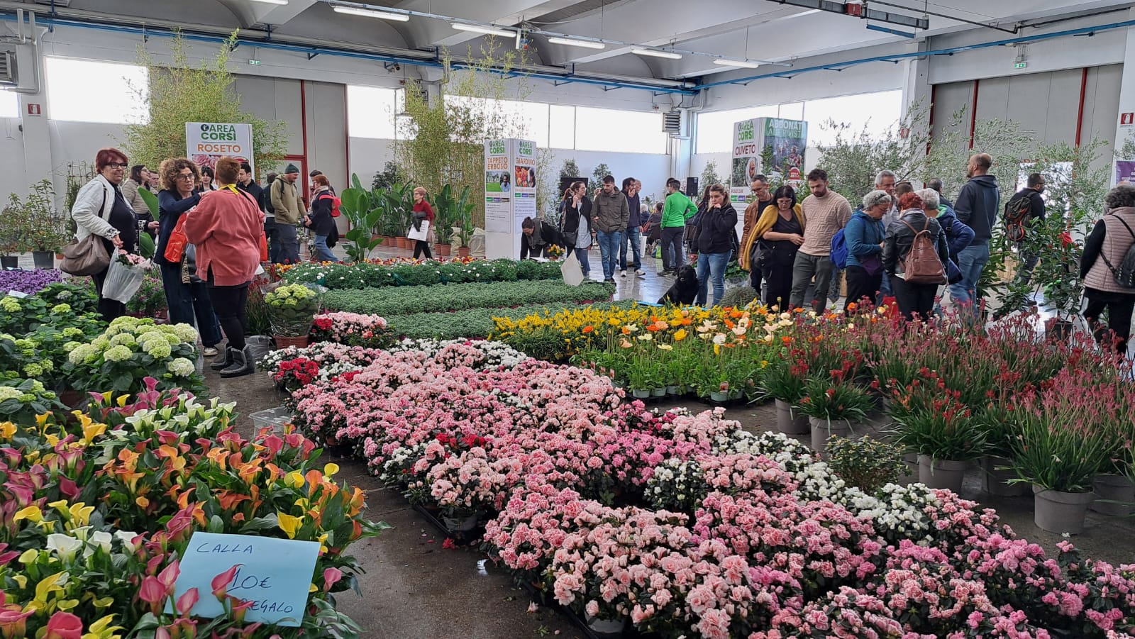 Successo Al Centro Fiera Di Montichiari Per La Fiera Di Vita In