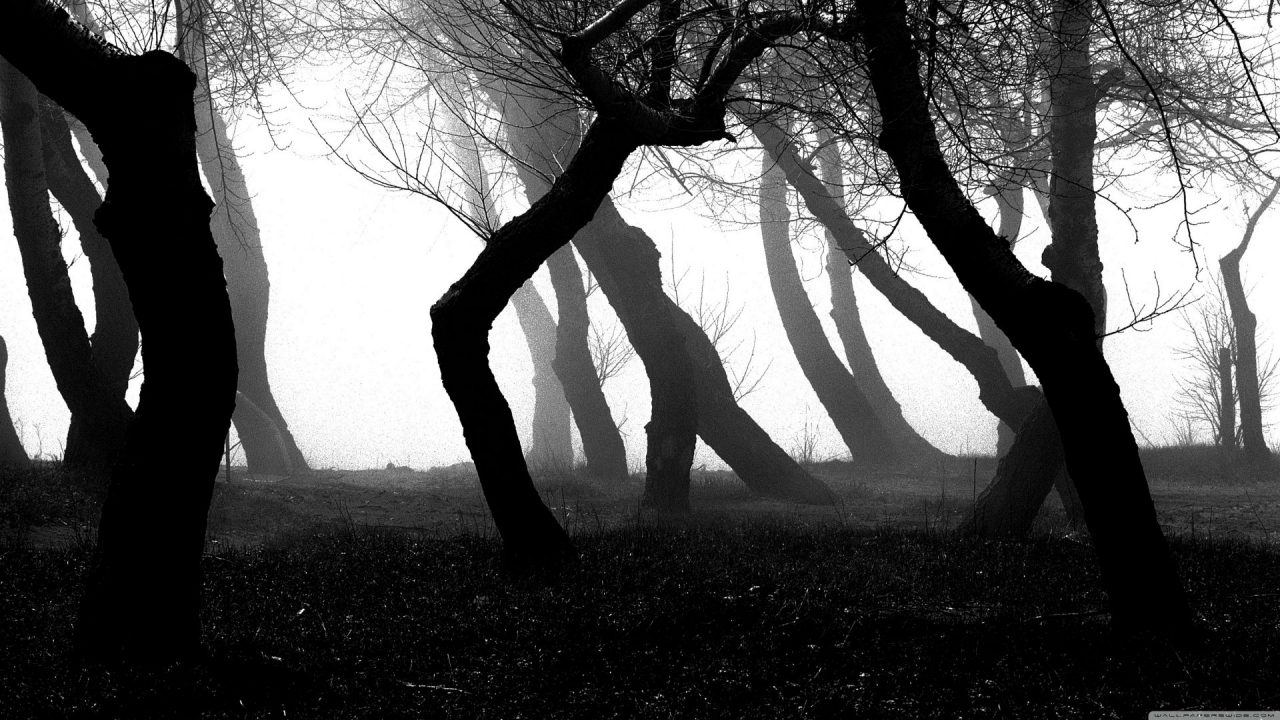 Camion ribaltato traffico in tilt LE FOTO