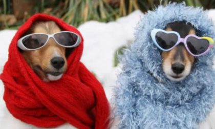 10 CIBI PER NON AVERE FREDDO