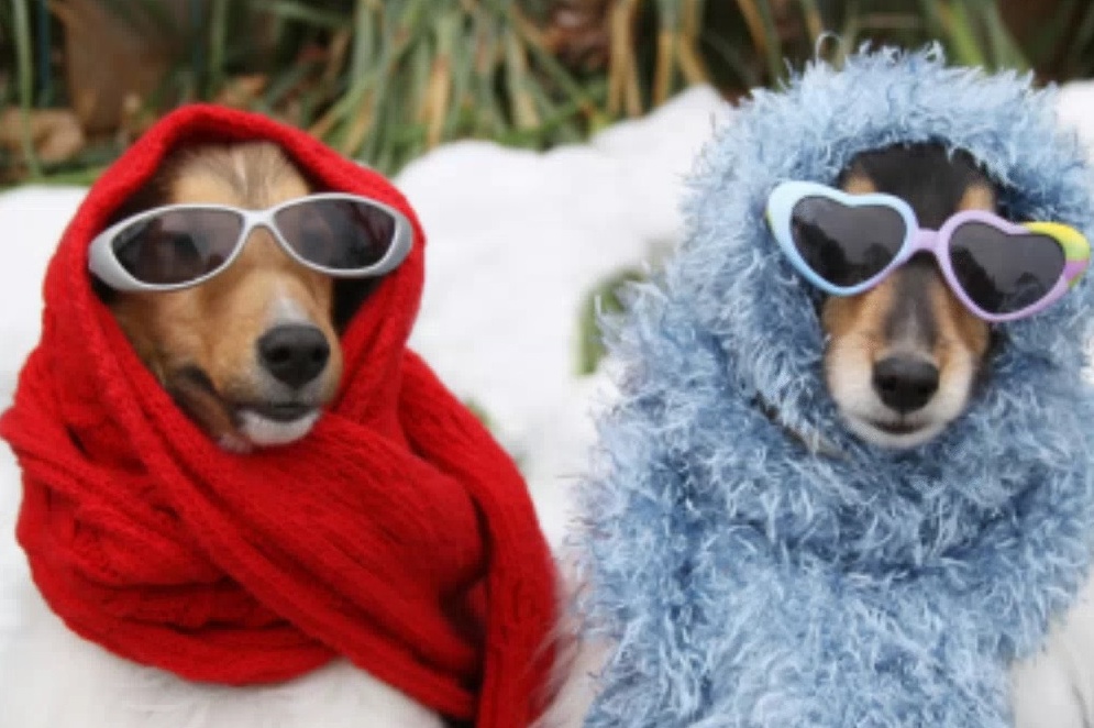 10 CIBI PER NON AVERE FREDDO