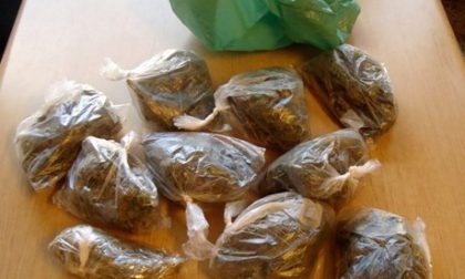 10 chili di marijuana da Vasco Rossi