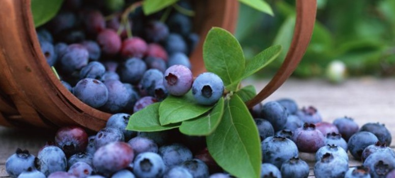 14 cibi che aiutano a non ingrassare