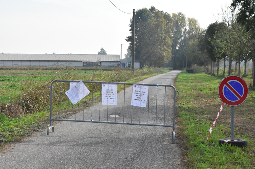 Abbattuti 27mila tacchini per l’aviaria