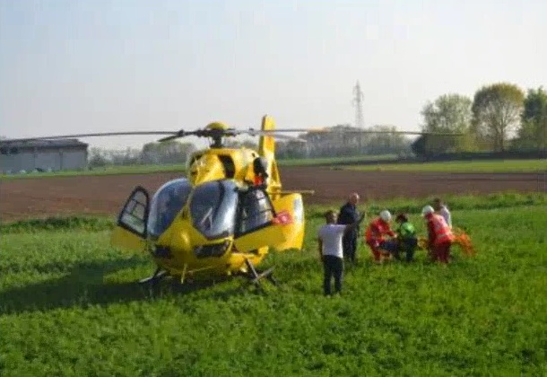 42enne in stalla: incornato da una mucca