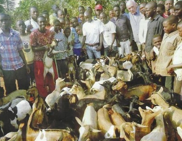 465 capre per uscire dallo spettro della povertà