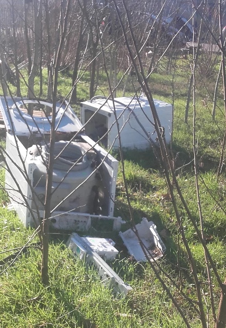 90 tonnellate di riiuti imbrattano il polmone verde