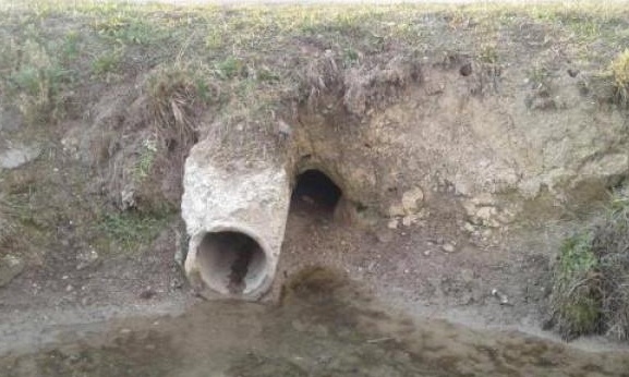 Agricoltori infuriati: «Occorre un soluzione»