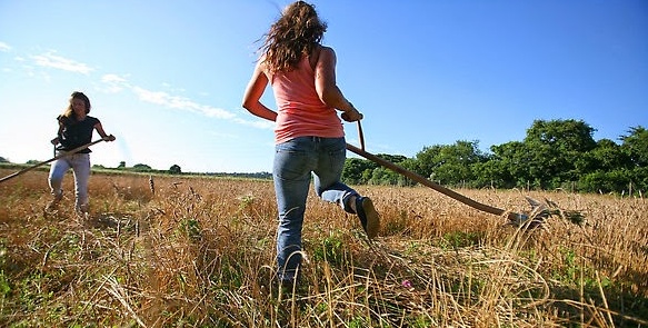 Agricoltura, un patrimonio di quasi 47 mila aziende con 61 mila addetti