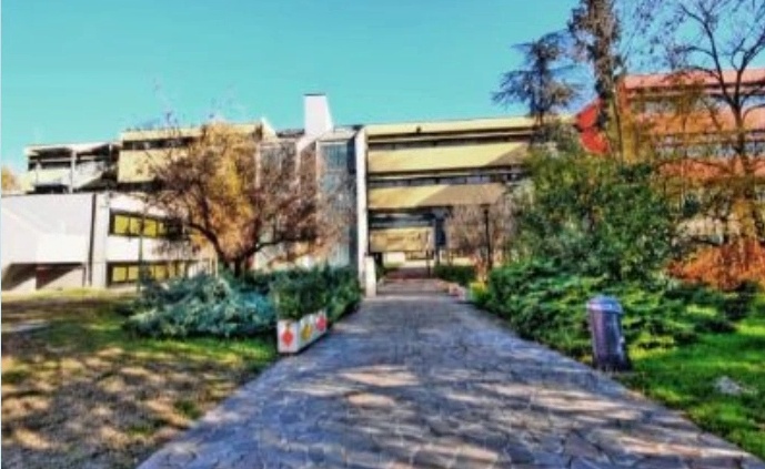 Al Don Milani arriva la pulce