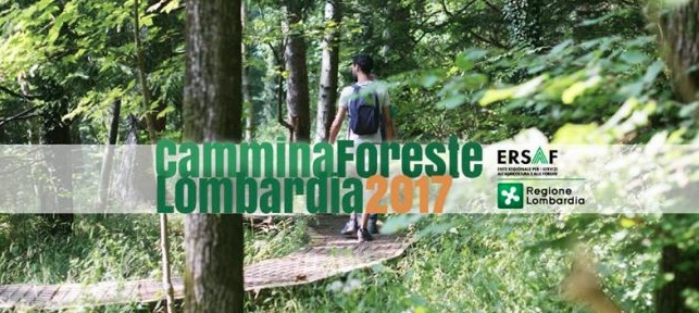 Alla scoperta delle foreste lombarde
