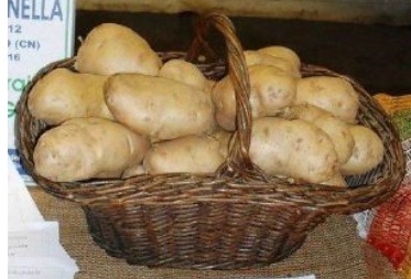 Allarme Fipronil è anche nelle patate