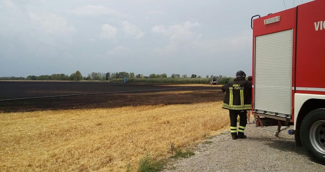 Allarme roghi: 12 ettari in fumo