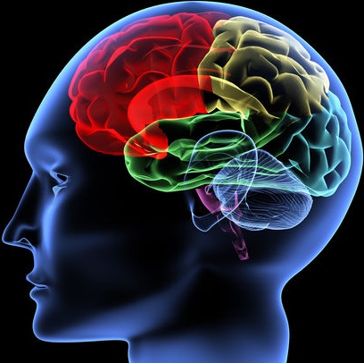 Alzheimer, le ultime novità sulla malattia