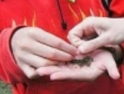 Ancora droga a Castiglione delle Stiviere