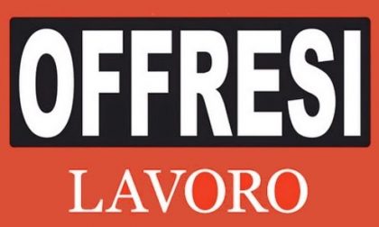 Asola: il bar Ip cerca bariste