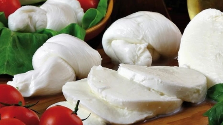 BUFALE… non bufala!