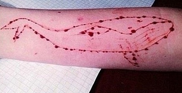 Blue Whale, il gioco dei suicidi: i comportamenti dei figli a rischio