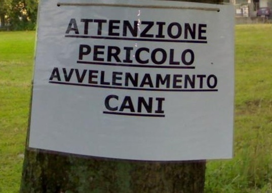 Bocconi avvelenati, scatta l’allarme a Bedizzole