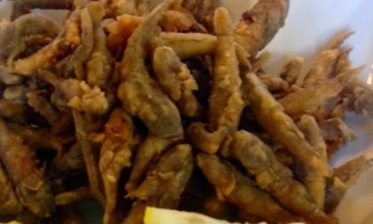 «Bose» fritte, il piatto di pesce sulle tavole bassaiole del passato