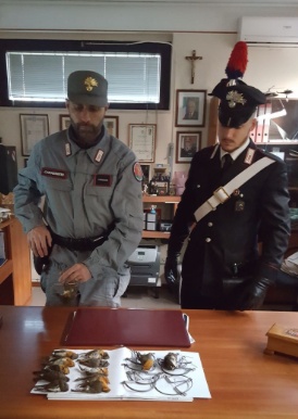 Bracconaggio: in manette 30enne bresciano