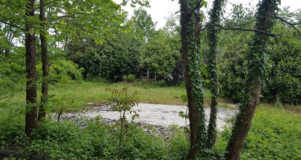 Cà del Bisso, dopo la diffida, i proprietari hanno pulito