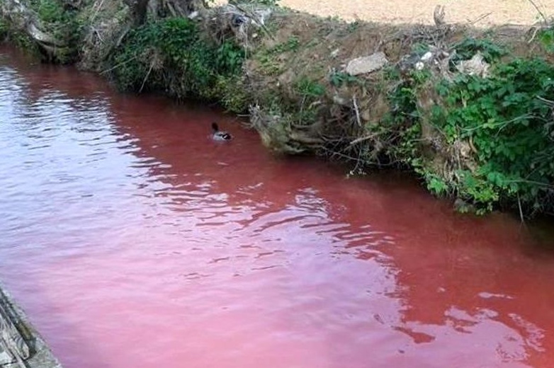 Caccia aperta all’inquinatore delle rogge