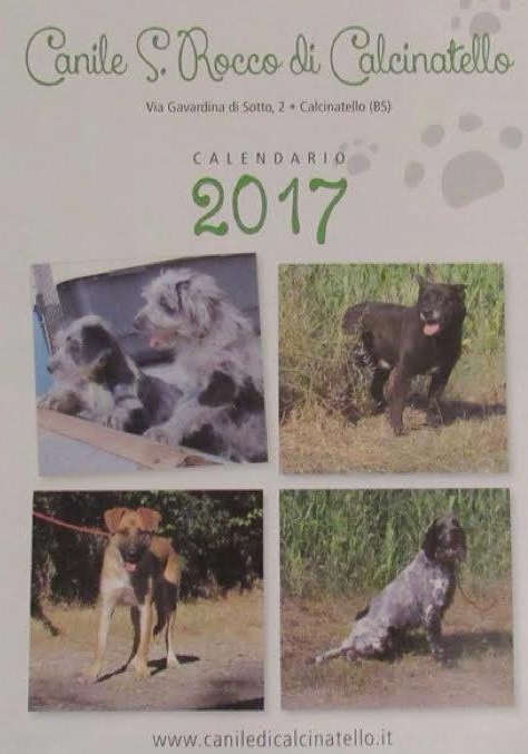 Calcinato: cani in posa per il calendario 2017!