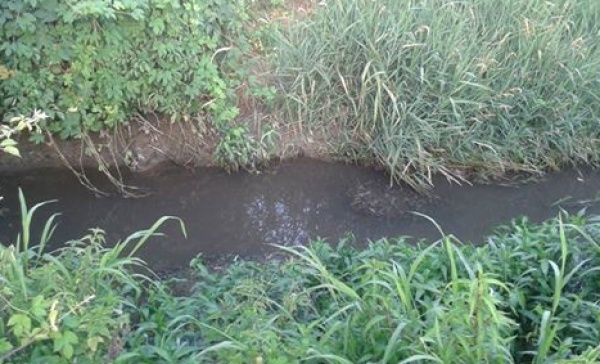 Calvisano, liquami nel canale: sequestrata vasca