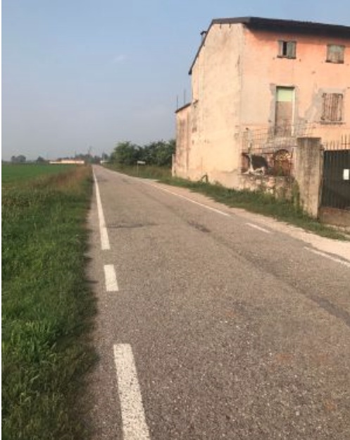 Cane investito sulla via Per Gambara: «Qui vanno a tutta velocità»