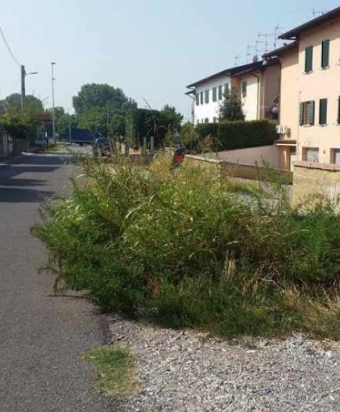 Carpenedolo. Via Garibaldi, quel piccolo canale coperto che è «terra di nessuno»