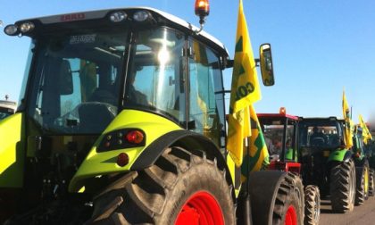 Casalmoro: la Petizione ha raggiunto 209 firme