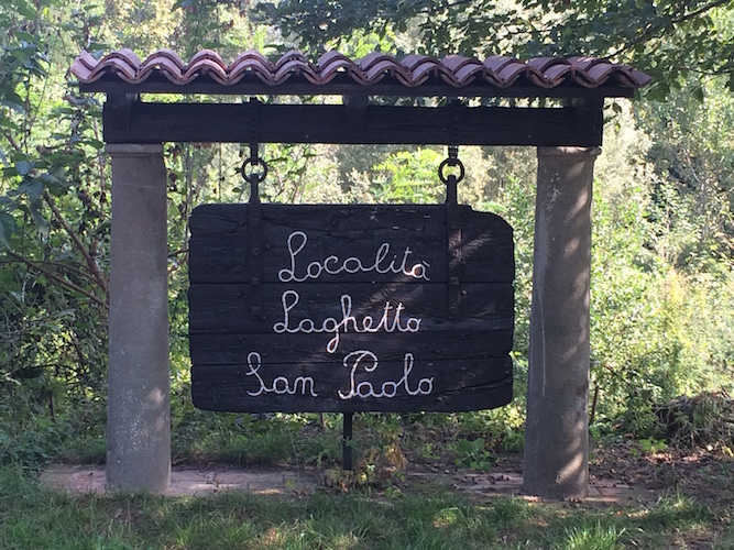 Consiglio diviso per le piante del Laghetto