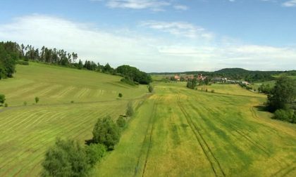 Contraffazione: "Il mantovano territorio sano, ma vigiliamo"