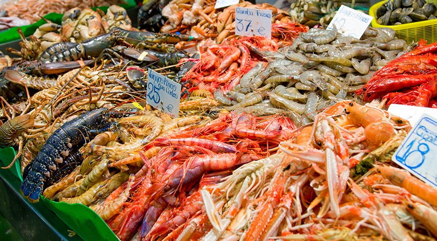 Crostacei vivi in frigo? Ti multiamo, li fai soffrire!