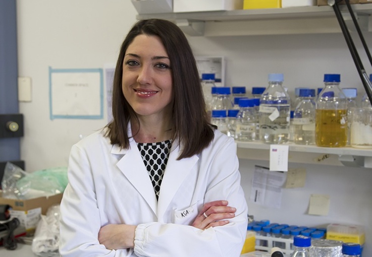 Da Bozzolo la cura per il tumore?