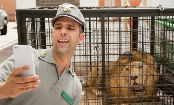 Da Checco Zalone a Muccino, cinema a Villa Lucia