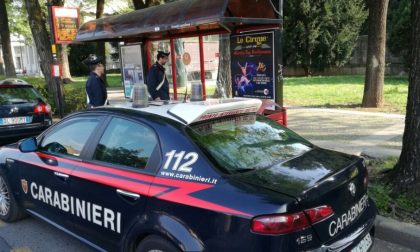 Denunce e furti. Ecco cosa sta accadendo sui nostri territori