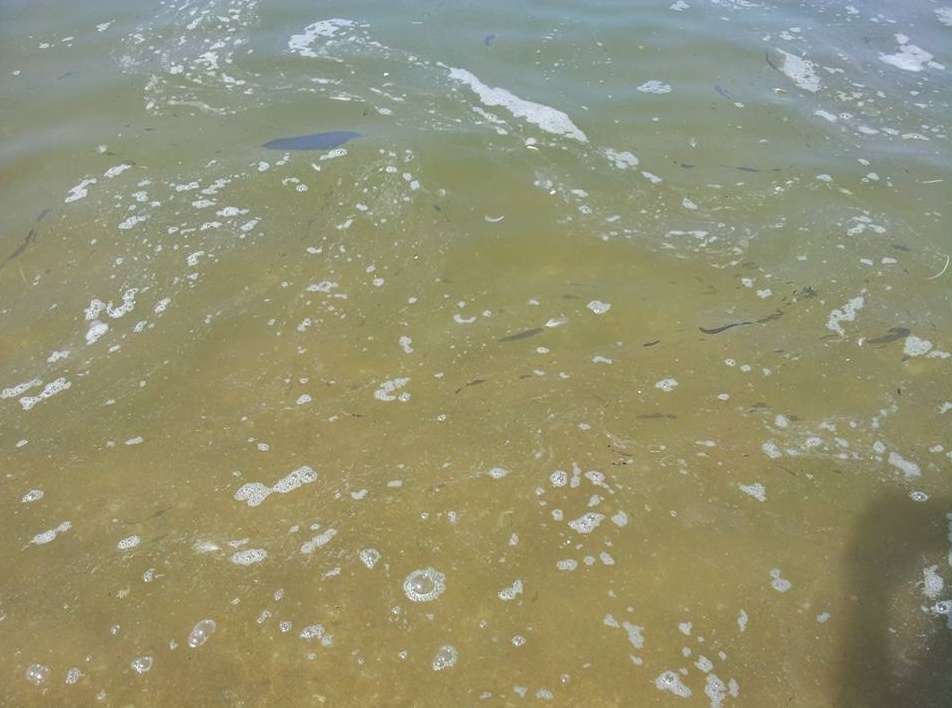 Disastro ambientale: critico il Mella