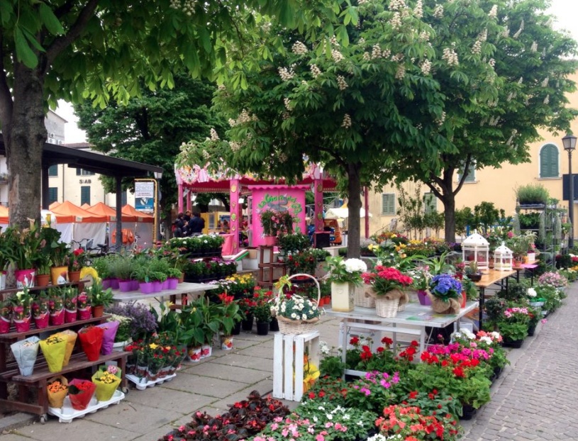 FOTOGALLERY – “Ghedi in fiore”