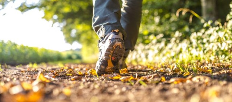 Farsi una passeggiata nel verde è un toccasana per il cervello