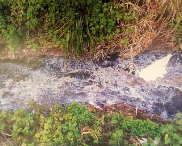 Feci e materiale organico nei terreni: adesso basta!