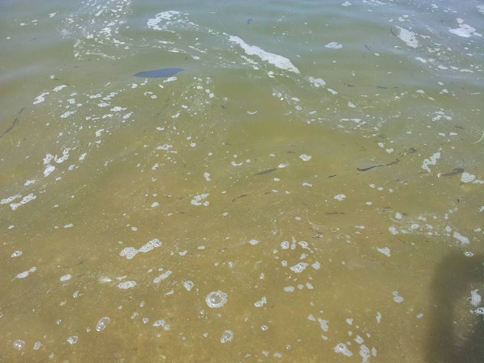 Legionella, i 5 stelle chiedono 50mila euro alla Regione per il fiume Chiese