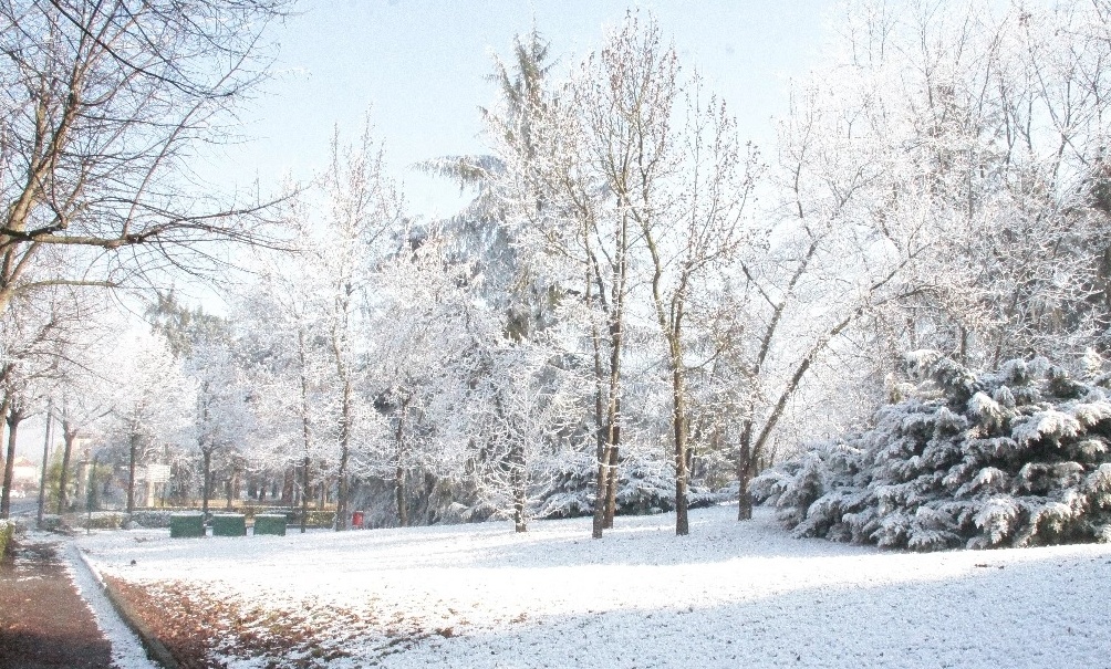 Criticità neve: in arrivo in tutta la regione