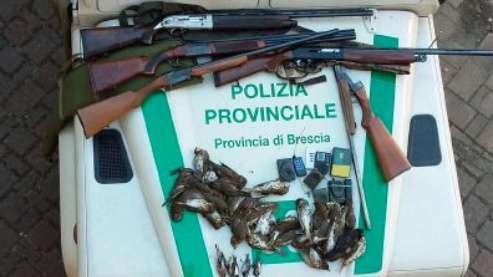 Ghedi: beccato cacciatore con richiami acustici vietati