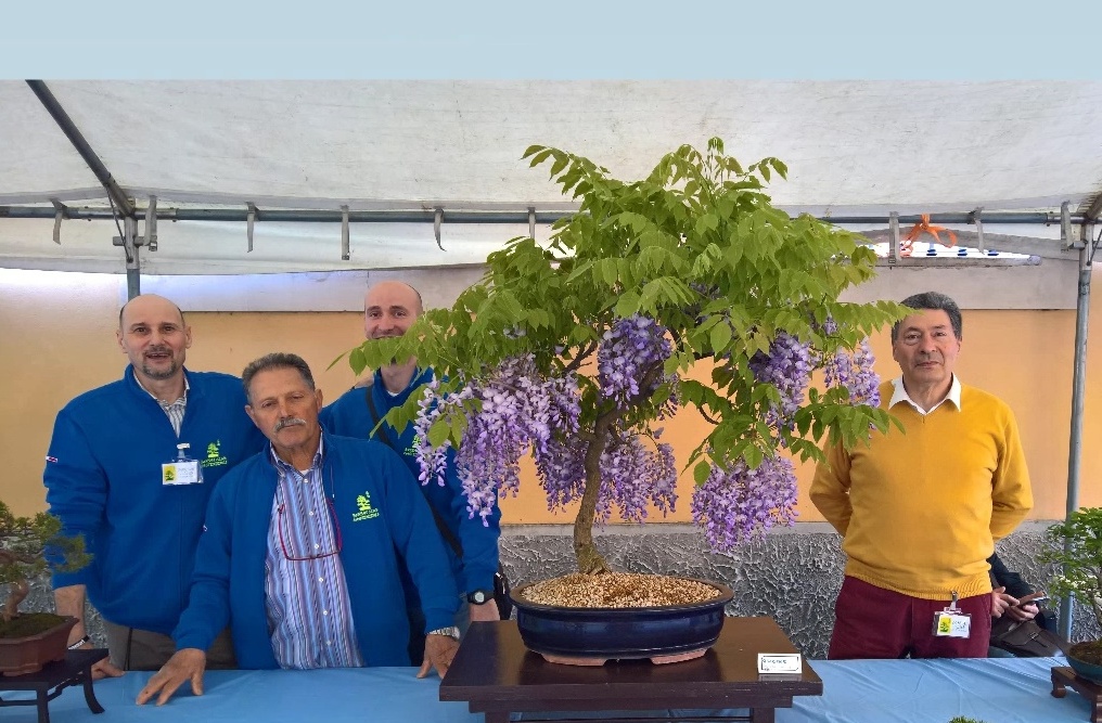 «Ghedi in fiore», una ventata di primavera in paese