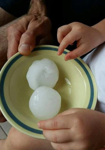 Grandine, mais duramente colpito