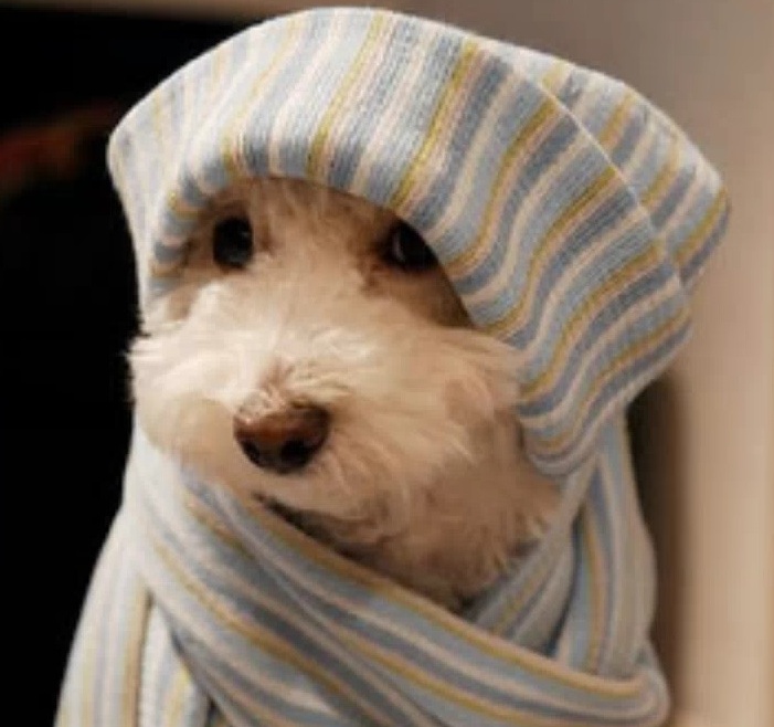 IL TEMPO A CAPODANNO E NON SOLO