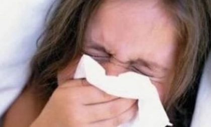 INFLUENZA: una malattia da 30 milioni di euro