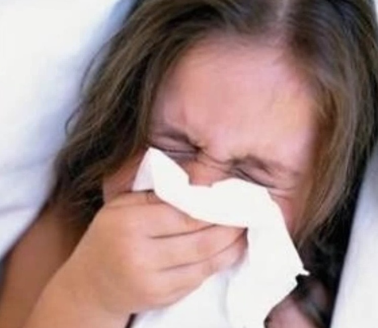 INFLUENZA: una malattia da 30 milioni di euro