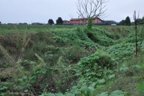 «Il Belvedere sta morendo ma non importa a nessuno»